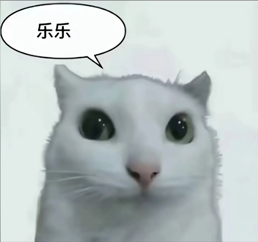 1234 截图